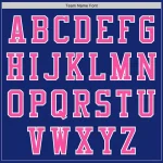 Custom Royal Pink-White Bomber Varsity Letterman Two Tone Zipper Jacket - Image 4